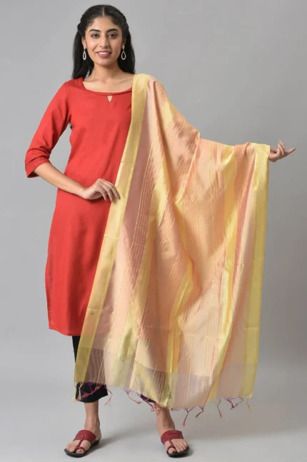 Women's Multi Coloured Banarasi Dupatta